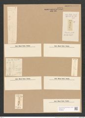 Stauroneis gracilis W.Sm. (de-Toni-Nr.: Genus 6, Species 879) Zeichnungen Sammlung Grunow Nr. 1738 (NHMW-BOT-W0368620)